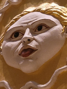 meduserr.jpg