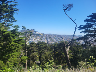 20240617_163747.jpg